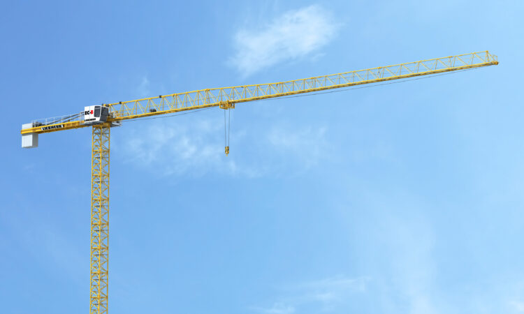 Liebherr_Litronic crane_Pat_C1.jpg