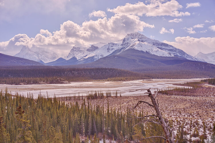 A Howse Pass road: beautiful but too costly (© Keeperofthezoo | Dreamstime.com)