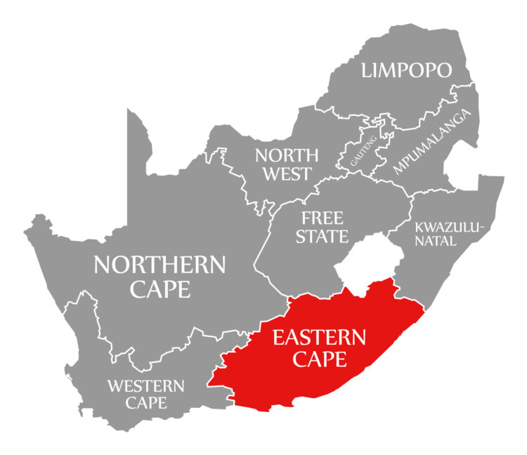 Construction of the Msikaba bridge in South Africa’s Eastern Cape was originally expected to take 33 months to complete – image courtesy © Ingo Menhard, Dreamstime.com