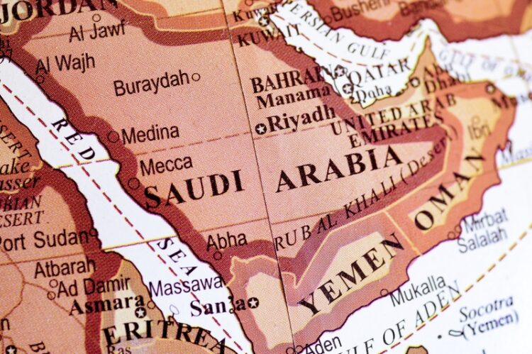 An important new road contract will be handled in Saudi Arabia by a local firm – image © Wirestock, Dreamstime.com