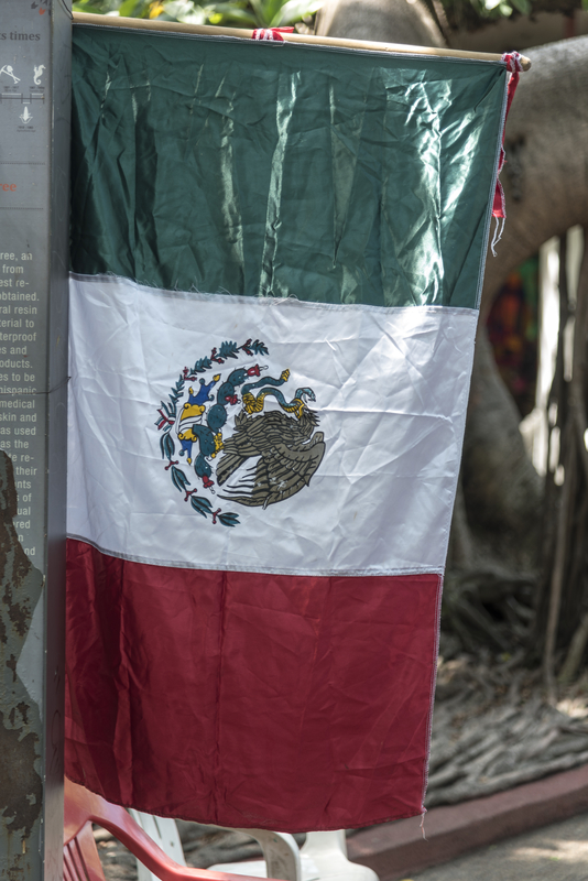 An important road project is underway in Mexico’s Aguascalientes State – image courtesy © courtesy of Iainhamer, Dreamstime.com