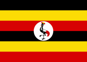 Portuguese contractor Mota Engil is bidding for road projects in Uganda and Cameroon image © courtesy of Evgenii Khadeev, Dreamstime.com
