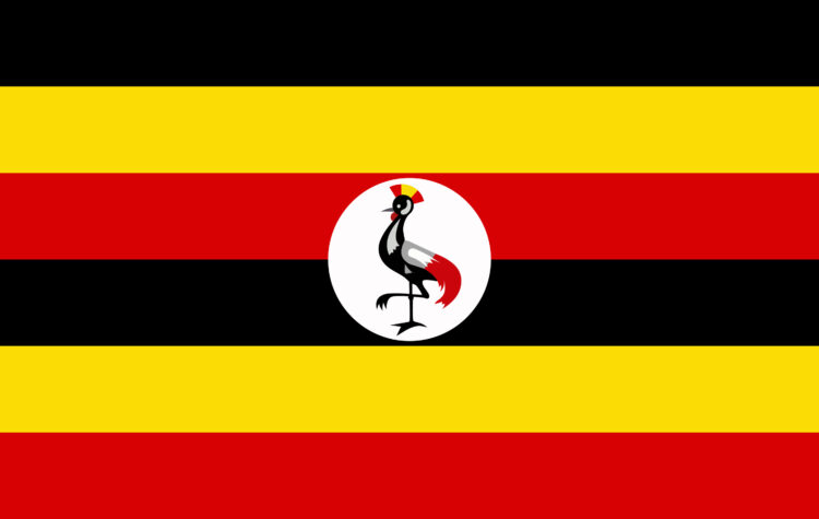 Portuguese contractor Mota Engil is bidding for road projects in Uganda and Cameroon image © courtesy of Evgenii Khadeev, Dreamstime.com