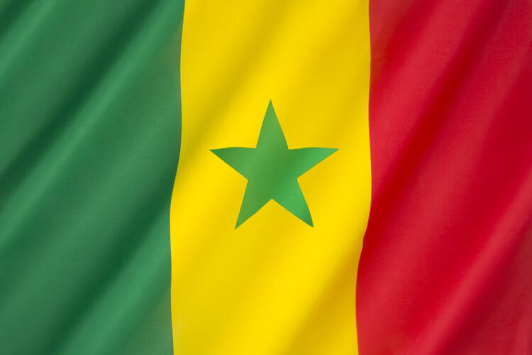 New road development works are planned in Senegal – image courtesy of © Steve Allen, Dreamstime.com