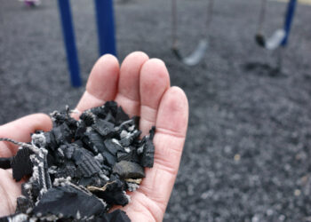 Crumbs! More of this for Tasmania’s roads (image © Olivier Le Queinec/Dreamstime)