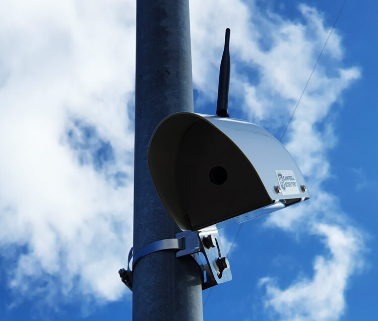 Over 100 sensors across the Kent route capture road surface condition data (image courtesy Campbell Scientific/Wintersense)