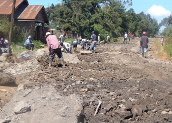 Labour-intensive road construction methods are still used in East Africa's rural areas to build access connections at Namanga (Kenya-Tanzania border) 5: Heavy equipment plays an important role for road building in East Africa