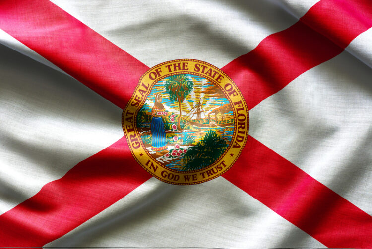 Work is now underway for a bridge replacement project in Florida – image courtesy of © Daniil Belyay | Dreamstime.com