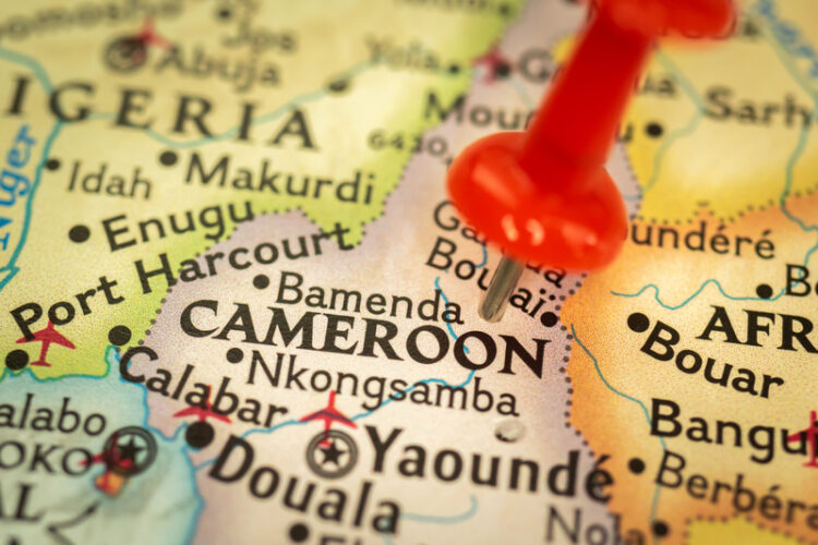 New road improvements for Northern Cameroon - image courtesy of © Vladyslav Yushynov |Dreamstime.com
