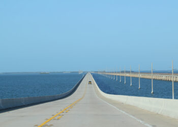 Cowi will be a key bridge player in Florida (© Frolandr/Dreamstime)