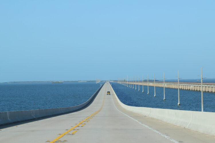 Cowi will be a key bridge player in Florida (© Frolandr/Dreamstime)