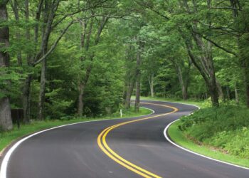 Sripath provides easy access to sustainability reports