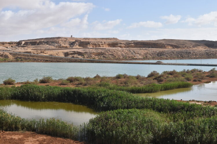 A new bridge will span the Oued Sakia El Hamra close to Laâyoune – image courtesy of © Philip Stewart| Dreamstime.com