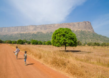 Transport in northern Guinea will improve with the construction of a new road to connect with Senegal – image courtesy of © Fabian Plock| Dreamstime.com