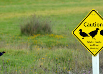A safer Northern Corridor is coming for all road users (image © Rafael Ben Ari/Dreamstime)