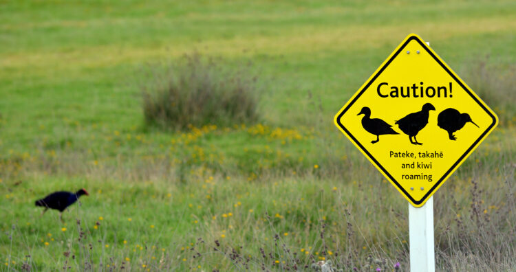 A safer Northern Corridor is coming for all road users (image © Rafael Ben Ari/Dreamstime)