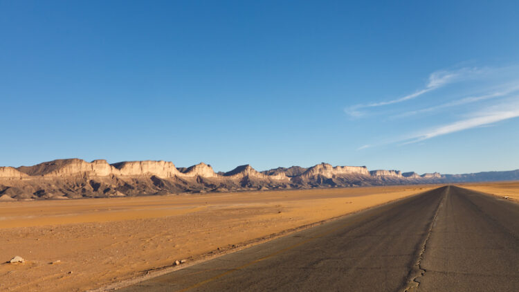 Further development of the crucial Trans-Saharan Corridor will deliver economic benefits to Algeria, Tunisia, Mali, Niger, Chad, and Nigeria – image courtesy of © Patrick Poendl| Dreamstime.com