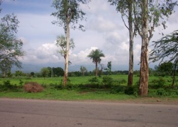 A new expressway is under construction in North India – image courtesy of © Saru Malhotra| Dreamstime.com