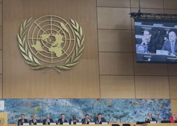IRF president Mandalozis (on screen, top right) speaks at a UN session (image courtesy IRF)