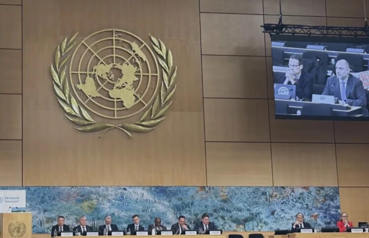 IRF president Mandalozis (on screen, top right) speaks at a UN session (image courtesy IRF)