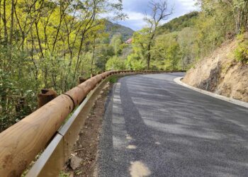 The half-log design also has been certified with a motorcyclist protection system (image courtesy Tertu)