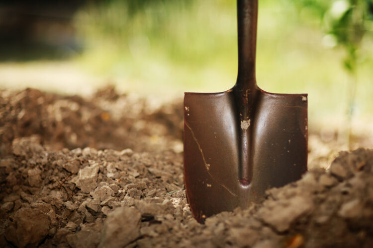 Project finish is expected by January 2029 at a cost of around US$116.1 million (Image: Konstantin Sutyag/Dreamstime)