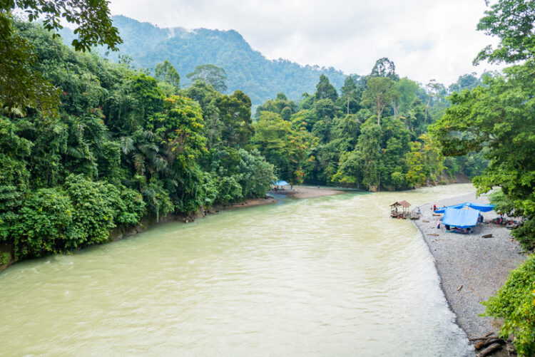 New bridges will be built spanning rivers in some of Indonesia’s more remote areas, boosting access – image (Broewnisphoto/Dreamstime.com)